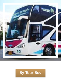 By Tour Bus