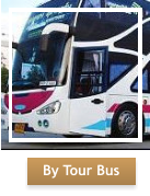 By Tour Bus