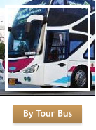 By Tour Bus